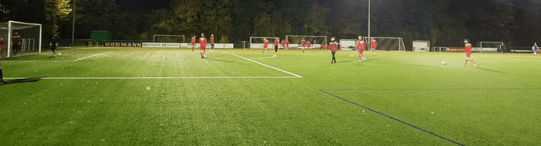 Bannière - SpVg Steinhagen - Steinhagen